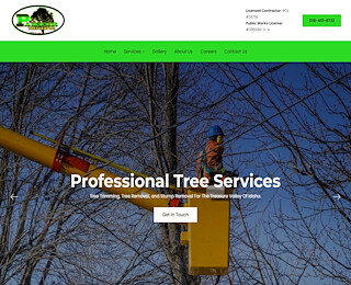 tree trimming near me, Tree trimming near me, Lawn Care Service Minneapolis