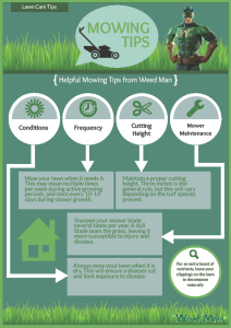 Lawn Care Minneapolis Mowing Tips