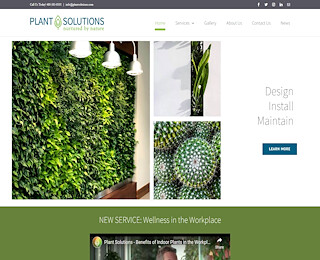 Indoor Plant Maintenance Scottsdale