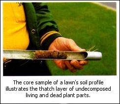 What is Core Aeration? What are the benefits of core aeration? Brought to you by Weed Man of the Twin Cities (Minneapolis and Saint Paul)  http://minneapolis.weedmanusa.com/ or 651-456-9696